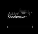 adobe shockwave 10.1.4.20